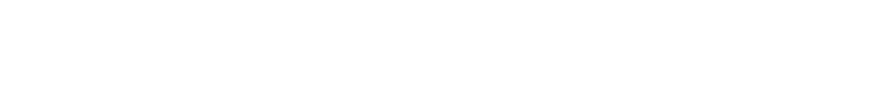 Blinkfluence Digital Marketing Agency